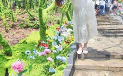 极品邪少 陨落星辰